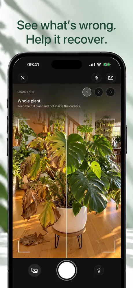 Plant Rescue app screenshot: before and after recovery
