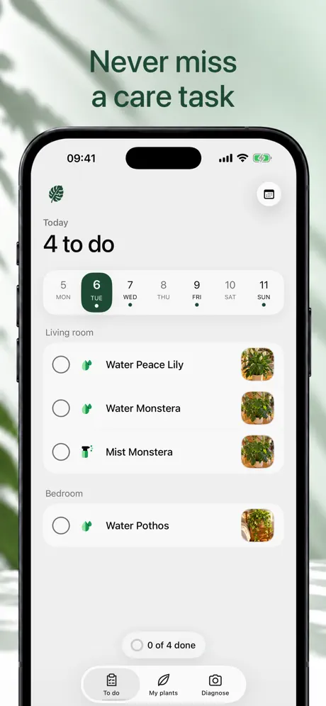 Screenshot: daily care