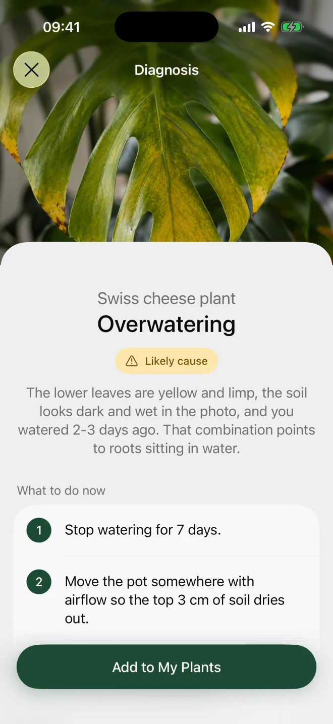 Diagnosis screen: overwatering, likely cause, and what to do now
