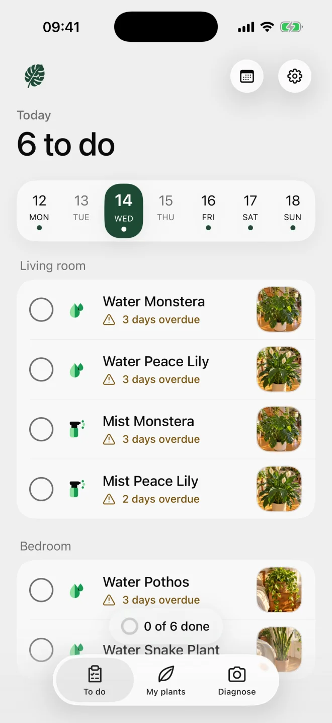 To do screen with today's care tasks
